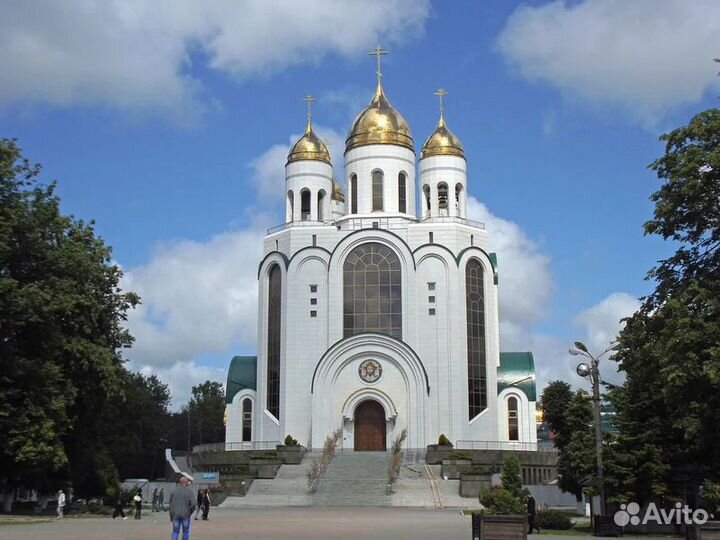 Калининград Топ-Экскурсия Неповторимый Калининград