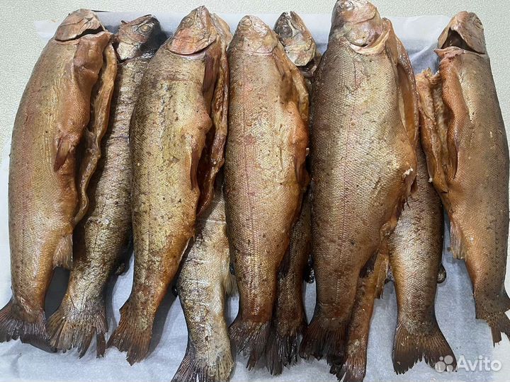 Форель горячего копчения