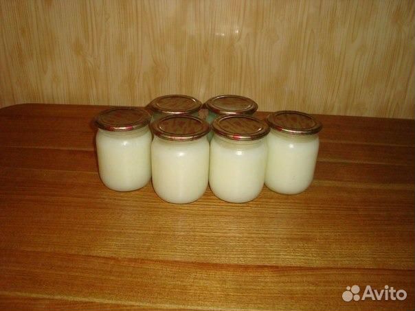 Барсучий жир