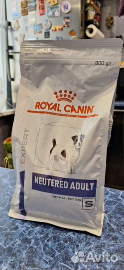 Корм для собак