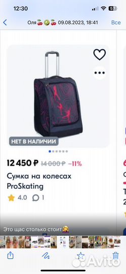 Сумка для фигурного катания