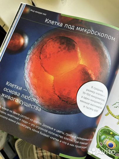 Книга Невидимый мир и набор микромир