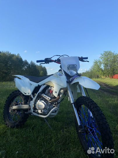 Эндуро Avantis FX250