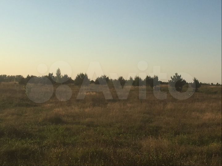 Участок 3,5 га (ИЖС)