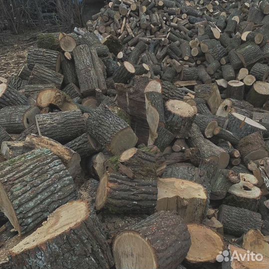 Тепло природы: дуб, лиственница, клён, акация