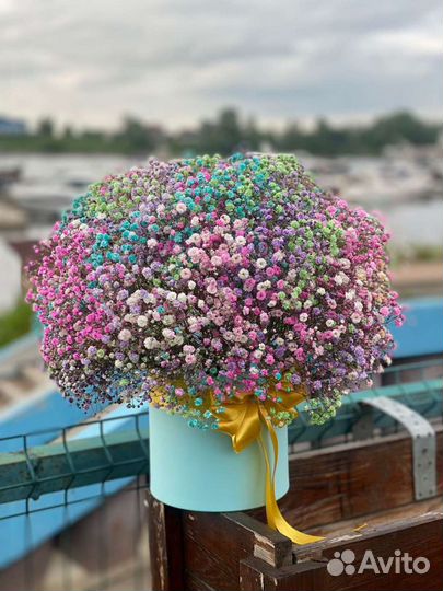 Цветочная композиция Гипсофила Букеты Цветы