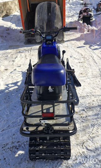 Динго 150 год 2018