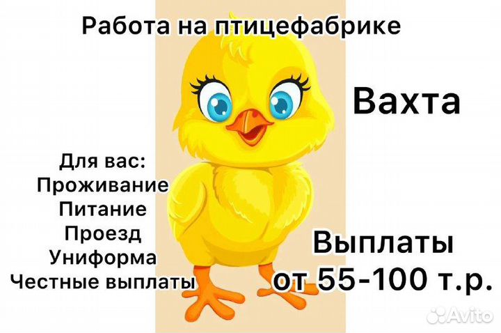 Разнорабочий на птицефабрику вахтой