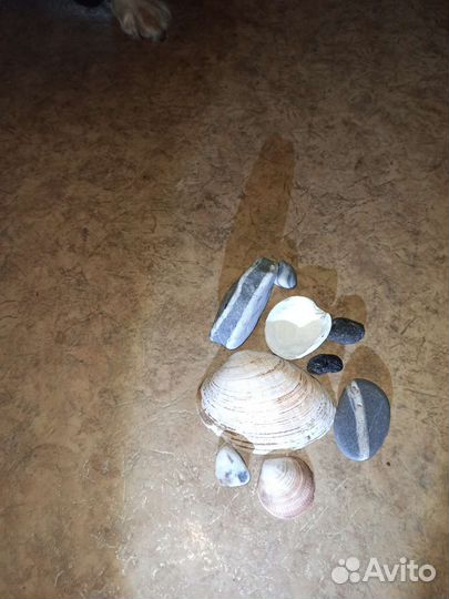 Камни Для аквариума