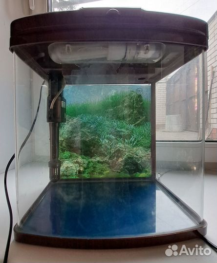 Аквариум бу