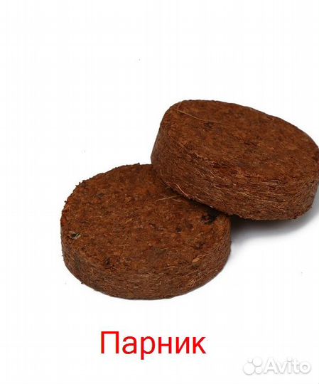 Для рассады