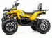 Квадроцикл MotoLand 200 wild track X PRO