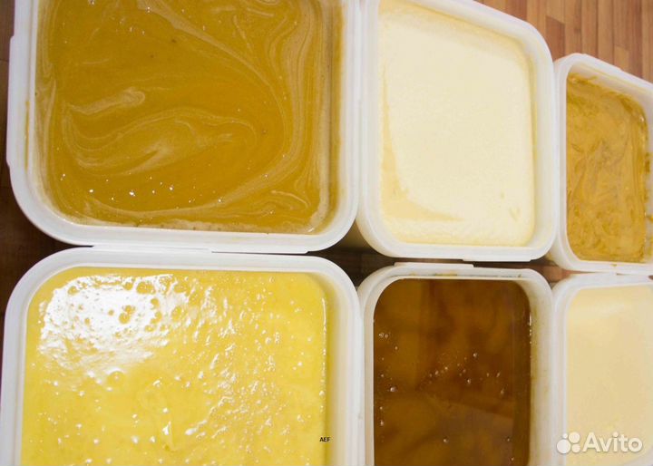 2024 Мёд натуральный из Алтая оптом