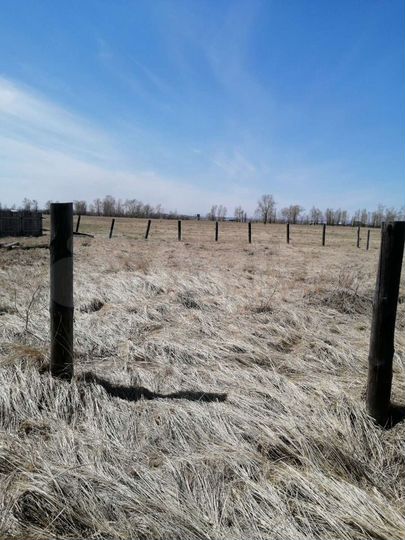 Участок 8 сот. (ИЖС)