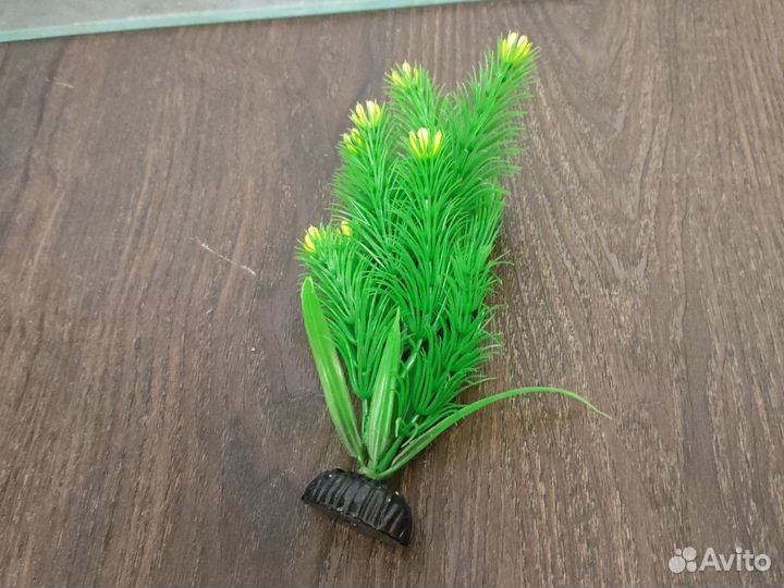 Аквариум на 80 литров