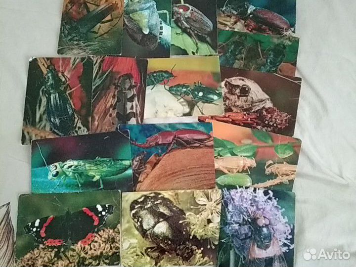 Открытки СССР