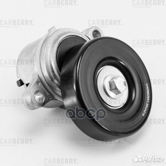 Ролик натяжителя 55CA218 carberry