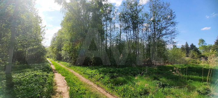 Участок 15 сот. (СНТ, ДНП)