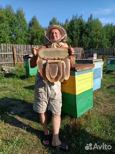 Мед и продукты пчеловодства из Муромского заказник