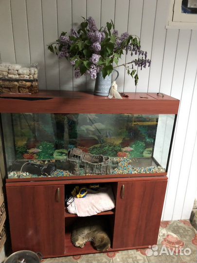 Аквариум