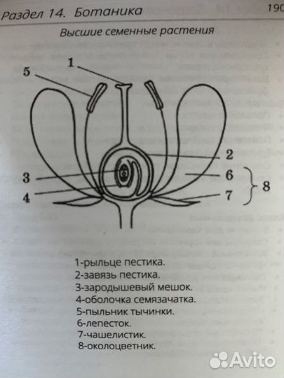 Карманный справочник ЕГЭ по биологии