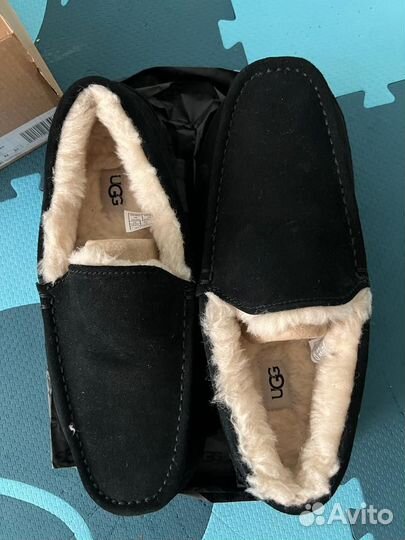 Ugg мужские