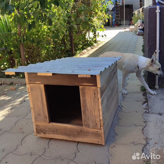 Щенок девочка в добрые руки с будкой