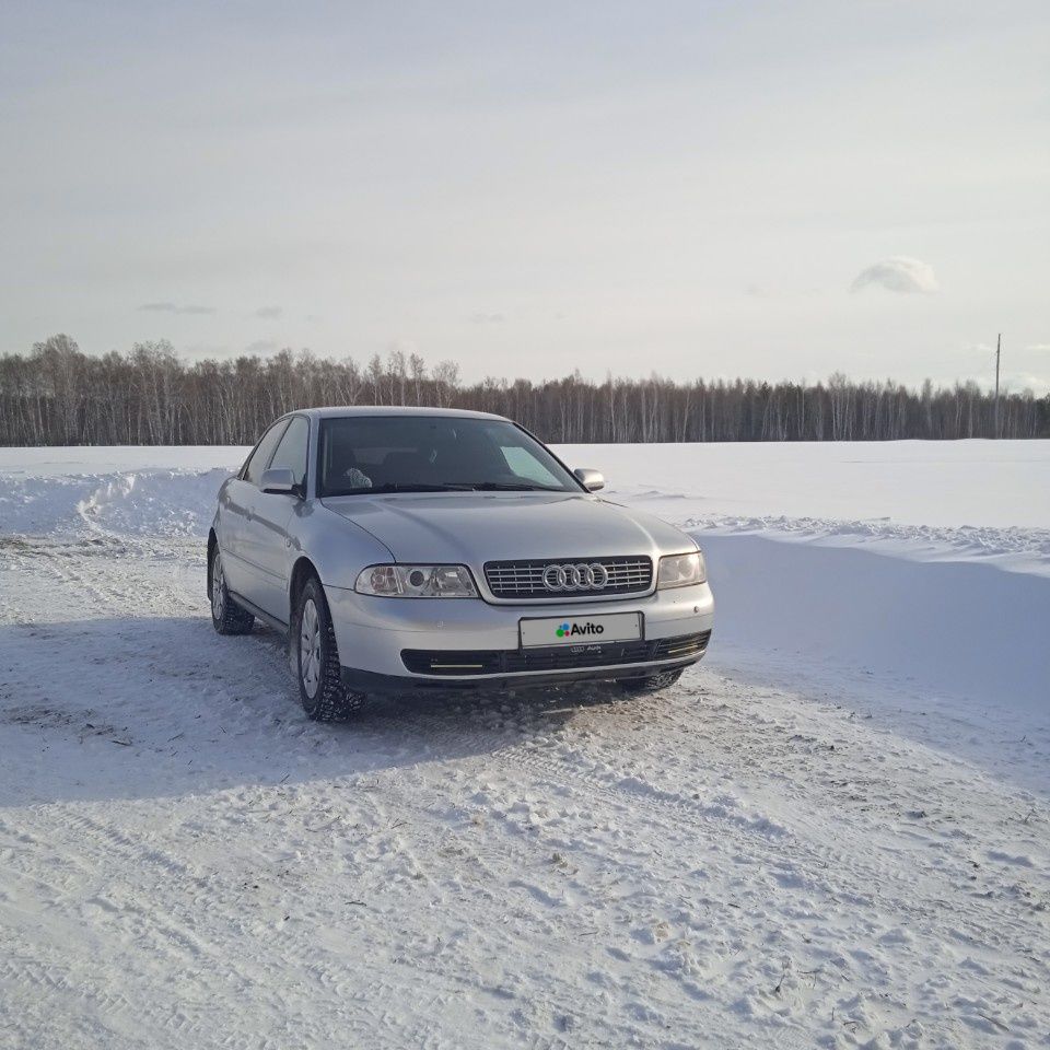 Audi A4: фото владельца