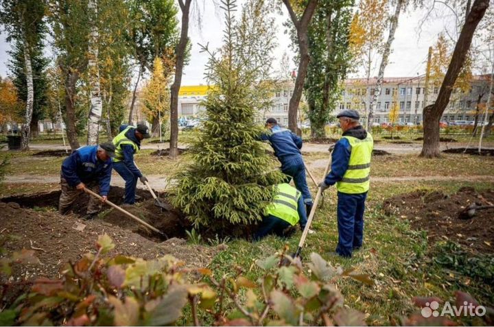 Разнорабочие, подсобные работы. Аутсорсинг