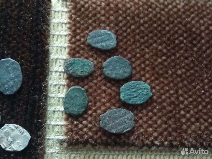 Монеты Чешуя Серебро и Медь