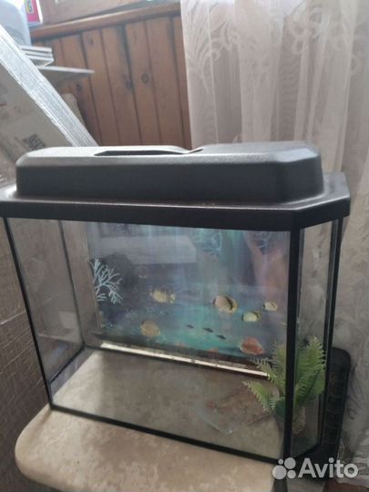 Аквариум