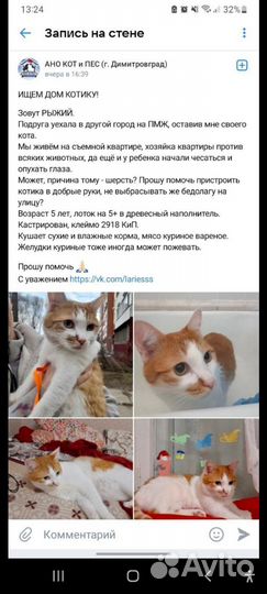 Отдам бесплатно
