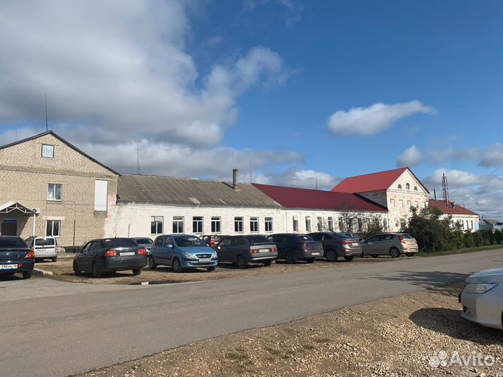 Готовый бизнес молочный завод