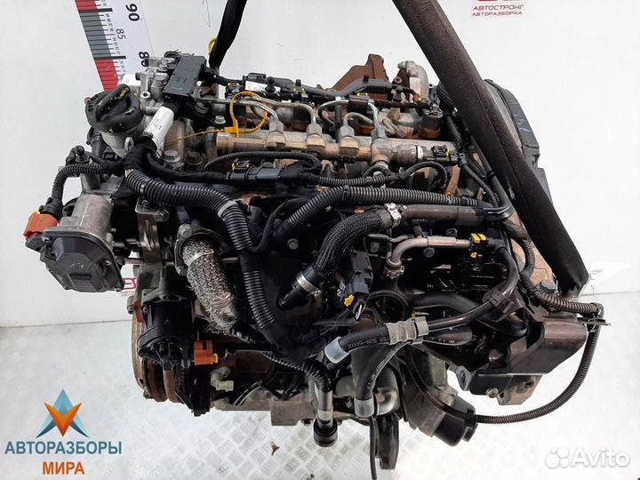 Форсунка Opel Insignia (A) 2010 55566050