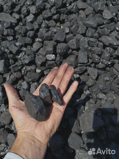 Сспк уголь для вашего дома