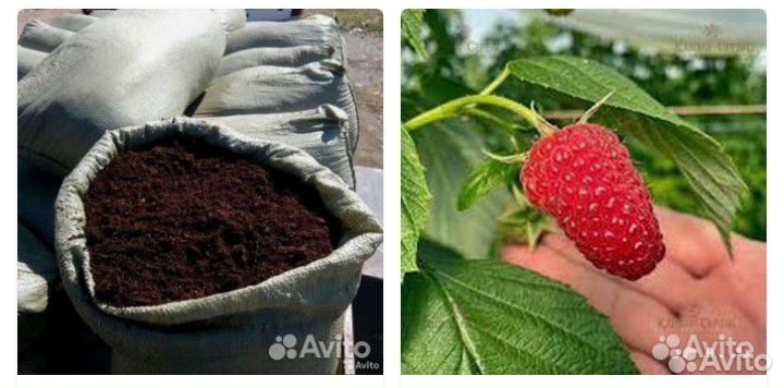 Органические удобрения