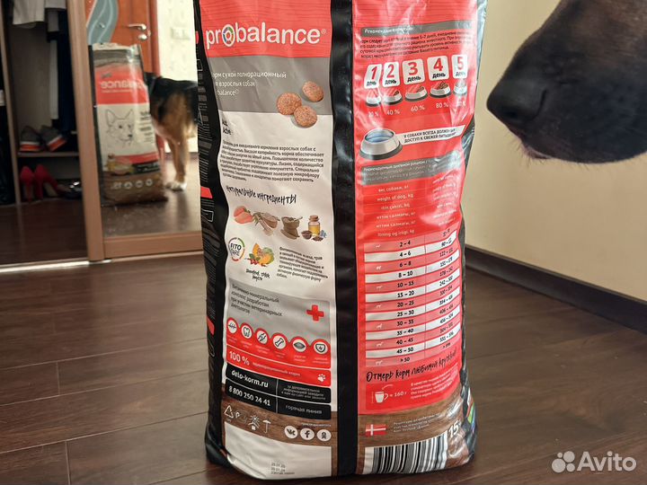 Корм для собак