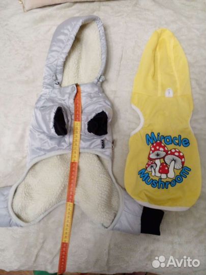 Комбинезон для маленькой собачки зима