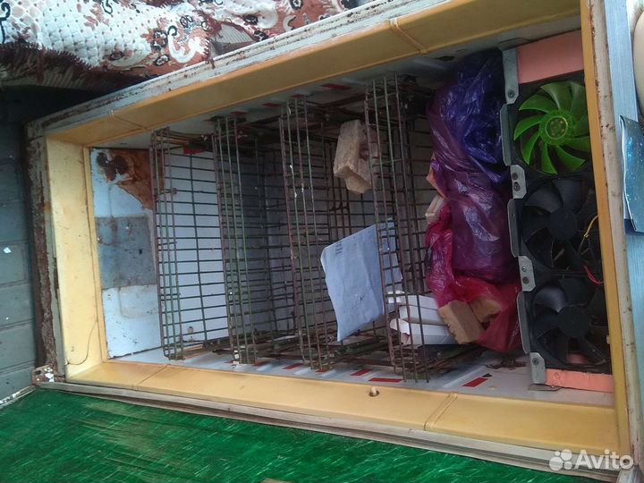 Инкубатор для яиц