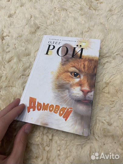 Книга Олега роя домовой
