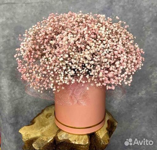 Гипсофилы с открыткой