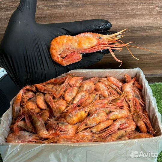 Креветка Ботан