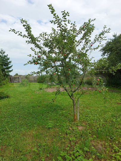 Дом 40 м² на участке 13 сот.