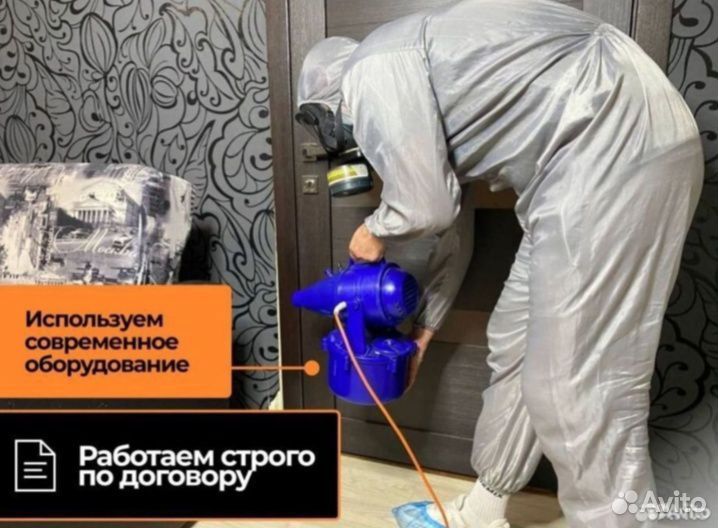 Уничтожение тараканов клопов блох мышей клещей ос