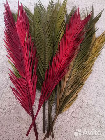 Сухоцветы для декора