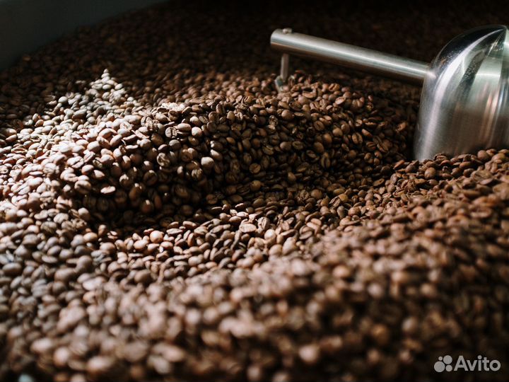 Кофе в зернах оптом, Арабика