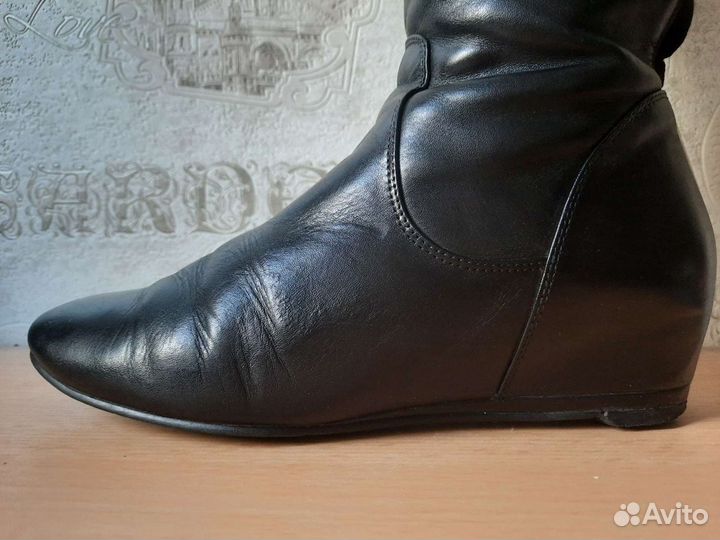 Сапоги демисезонные