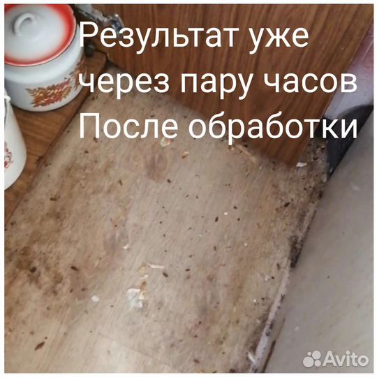 Уничтожение клопов, клещей, травля тараканов