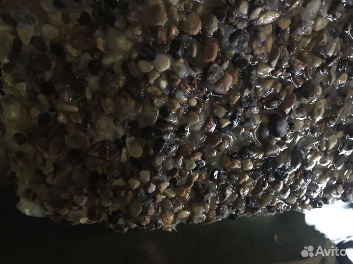 Большой Остров Красноухая Черепаха