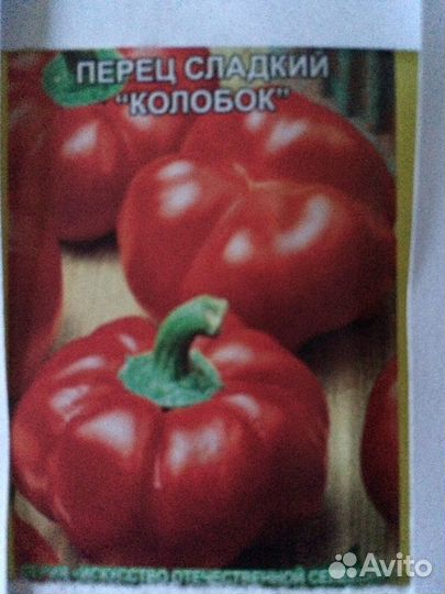 Рассада сладкого перца